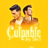 Culpable — Aray, Dani J
