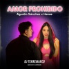Amor Prohibido — Agustín Sánchez, Hanae, DJ TerreMarco