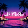 Solo Con un Beso (Bachata Remix) — Bachata Mix Enamora'o