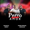Perro Amor — Bachata Sweet, Pedro Miguel Morales