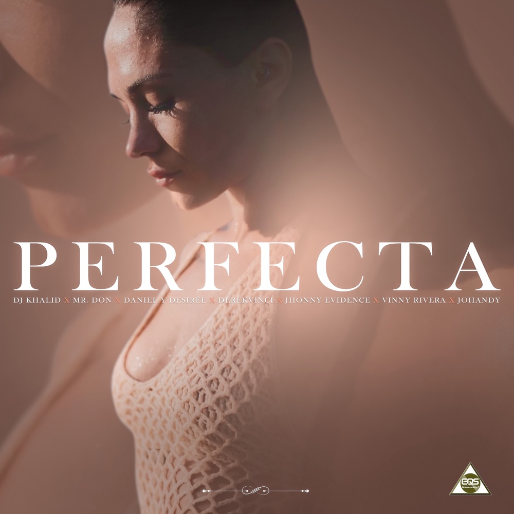 Perfecta — Mr.Don, Jhonny Evidence, Vinny Rivera, Johandy, DJ Khalid, DerekVinci