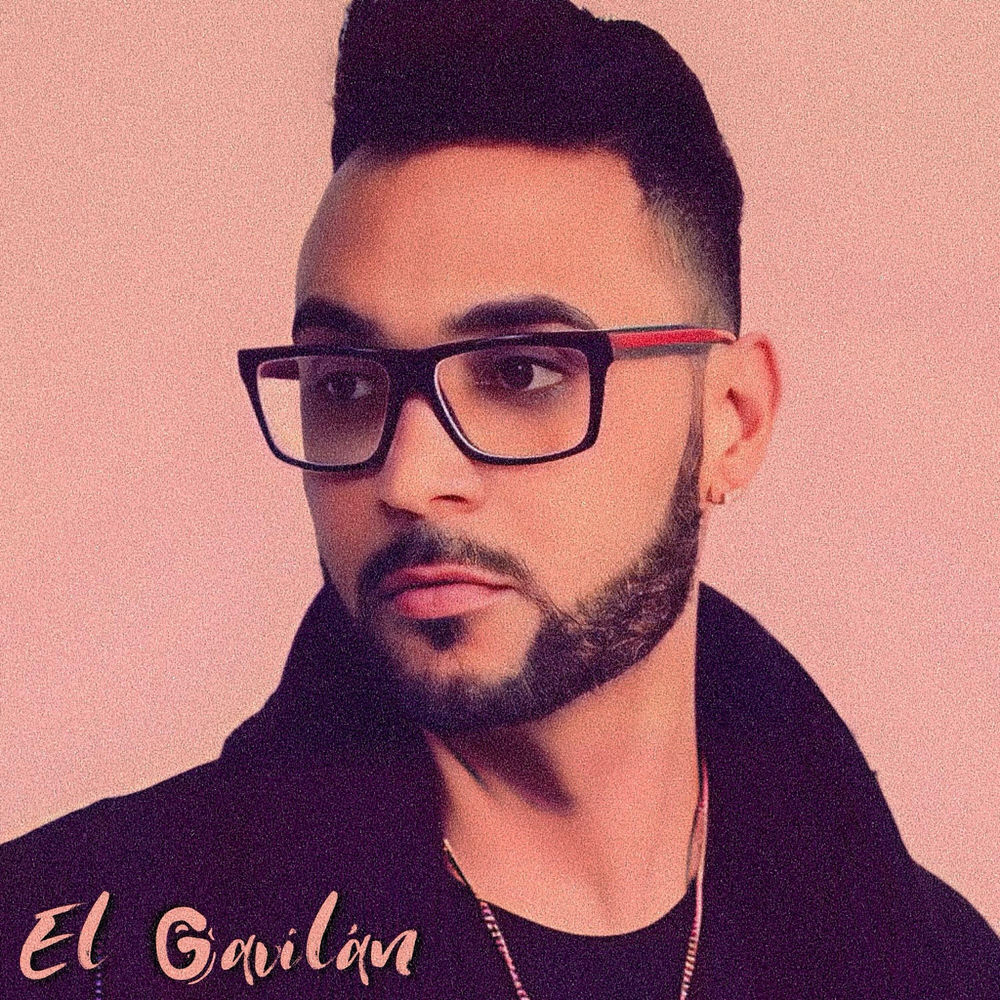 Como Me Gusta Esa Hembra — El Gavilan