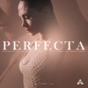 Perfecta — Mr.Don, Jhonny Evidence, Vinny Rivera, Johandy, DJ Khalid, DerekVinci