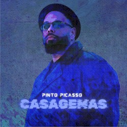 Niveles — Pinto Picasso