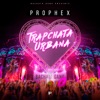 Olvida el Amor — Prophex