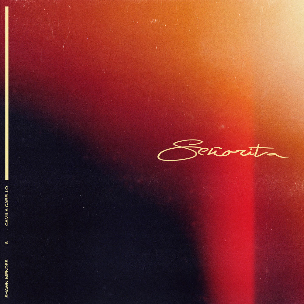 Senorita — Shawn Mendes, Camila Cabello (DJ Tronky)