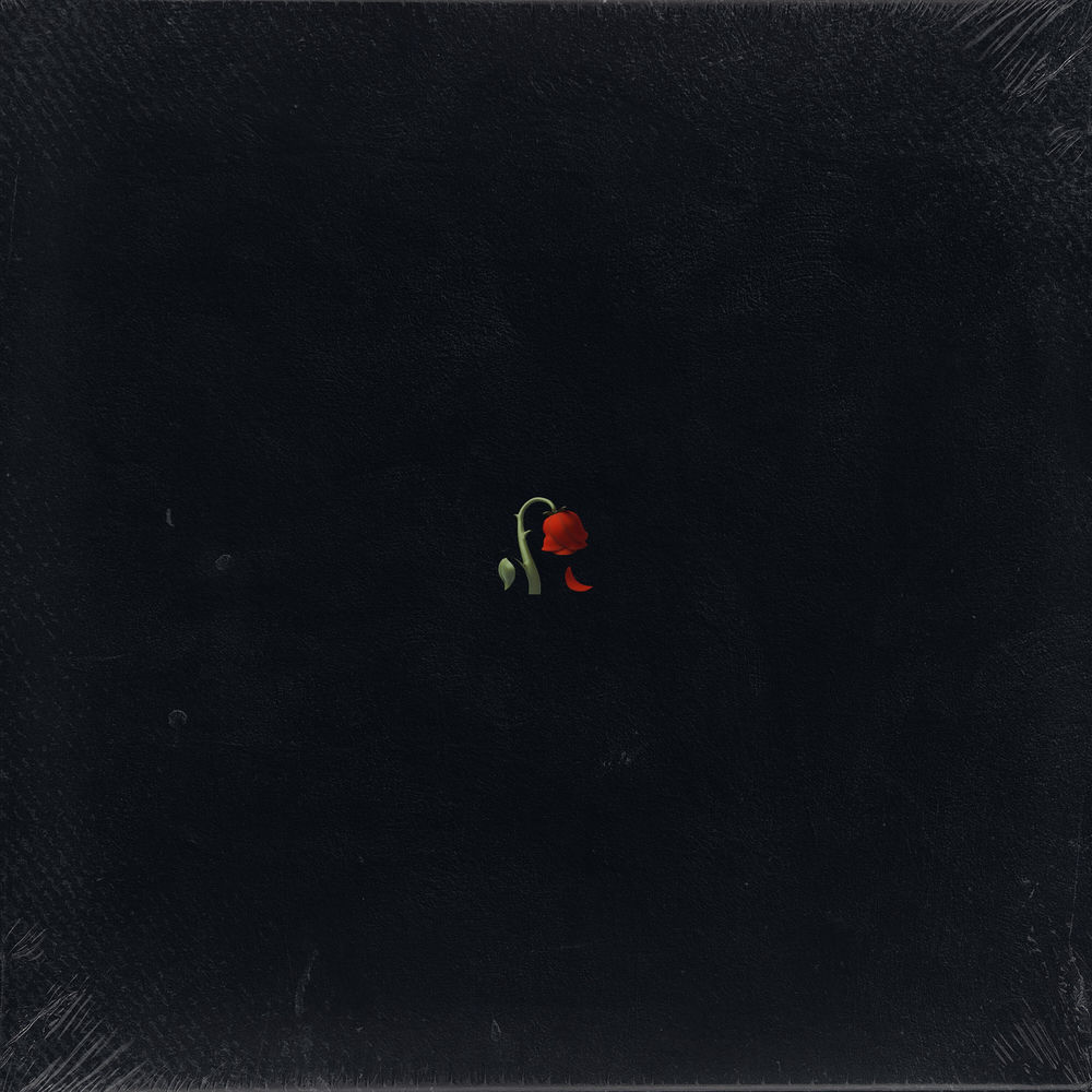 14 de Febrero — Xriz