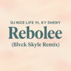 01 Blvck Skyle, Nice Life, Ky sheny Rebolee Blvck Skyle Remix pn