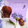 Cupido Falso - 12A - 5 — Bonifacio Aurio