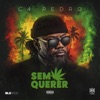 SEM QUERER — C4 Pedro