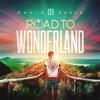 Road To Wonderland — David Ruela