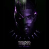 Dj Shark - WAKANDA Forever