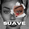 Suave ft. Nice Life & Tony Z — Stefanio Lima