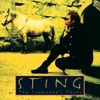 Shape Of My Heart — Sting