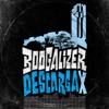 Descarga X — Boogalizer
