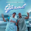 Pa' Gozal — Carlos Nevárez & Nic N'Taya