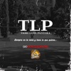 Tigre León Pantera — Gio Monteadentro