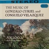 Besame Mucho — Joe Loco