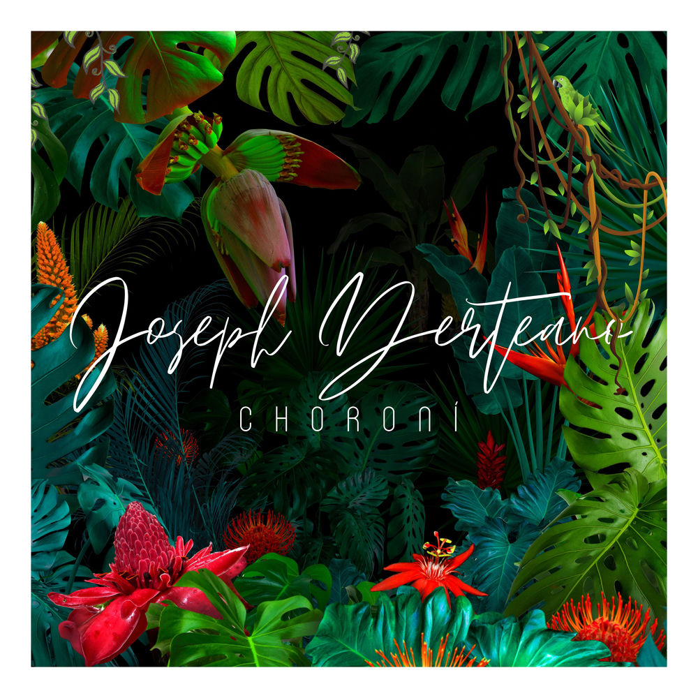 Choroní (feat. Mel Semé & Suzanna) — Joseph Derteano