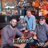 Teresita — Julio Albino y su Orquesta Secreto a Voces