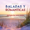 I Forever Love You — Luis Frank Arias, Soneros de Verdad