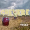 No Me Llores (feat. Carlito Garcia) — Maelo Y Su Montuno Moderno