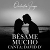 Bésame Mucho (feat. David D') — Orchestra Fuego
