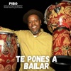 Te Vengo A Cantar — Pibo Marquez