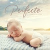 Perfecto (feat. Damian Vera) — Proyecto Sur
