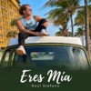 Eres Mía — Raul Stefano