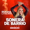 Perdón Perdón — Roxana la Salsera