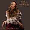 Last Sad Love Song (feat. Arturo Sandoval) — Tamela Hedström, Son de Tikizia