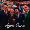 Agua Pura (feat. Edy Martínez, Junior Canales & Juan David Martínez Baltan) — Tiger One