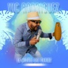La Mezcla Del Caribe (feat. Hector Olmo) — Vic Rodriguez