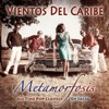 Fragile (Salsa Cover Version) — Vientos Del Caribe